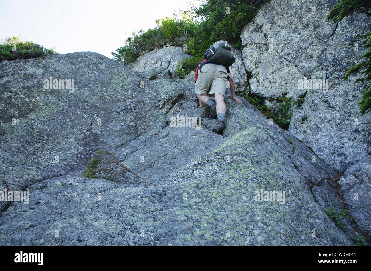 Hiker ascending the Six Husbands Trail in the Great Gulf Wilderness in