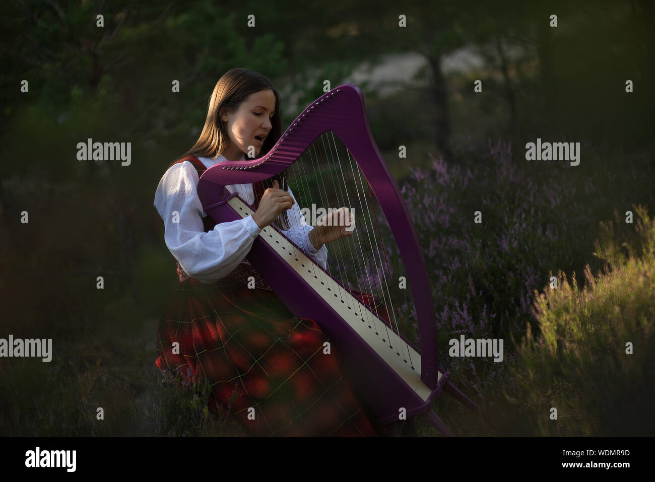 Celtic woman grass hires stock photography and images Alamy