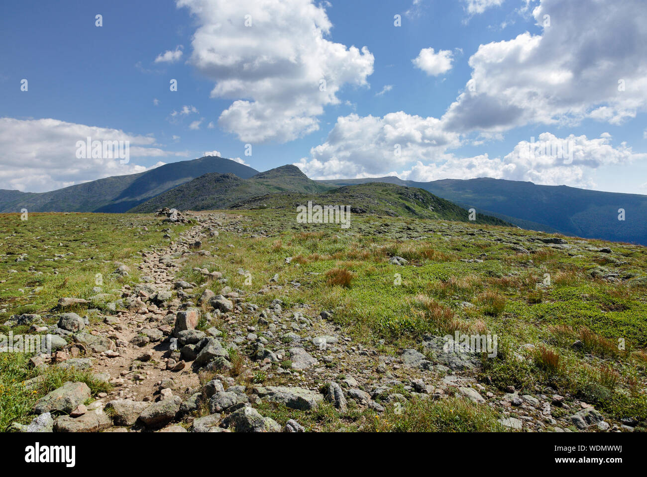 Mount Washington from the Appalachian Trail (Crawford Path) in the