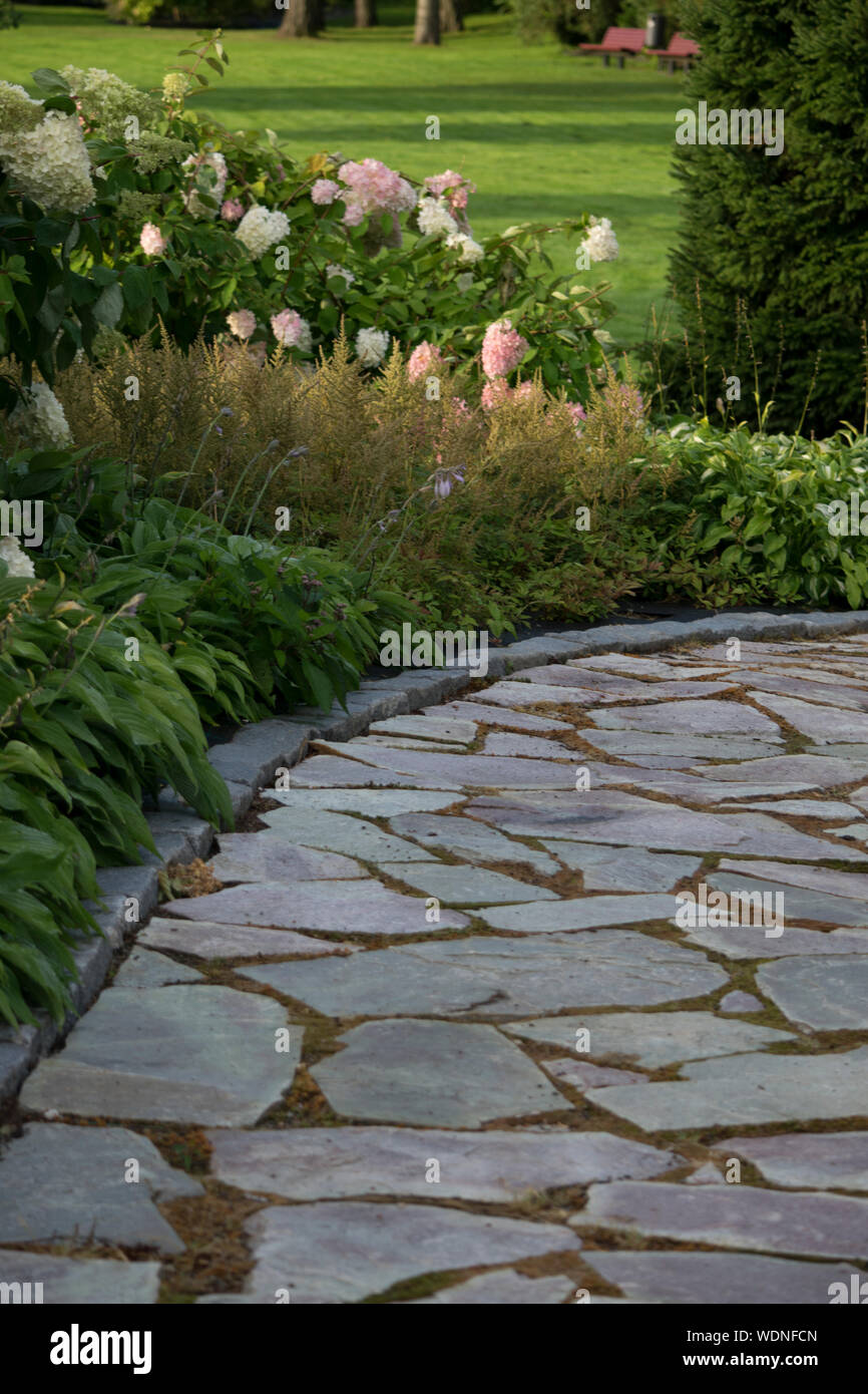 Plants Growing In Garden Stock Photo Alamy