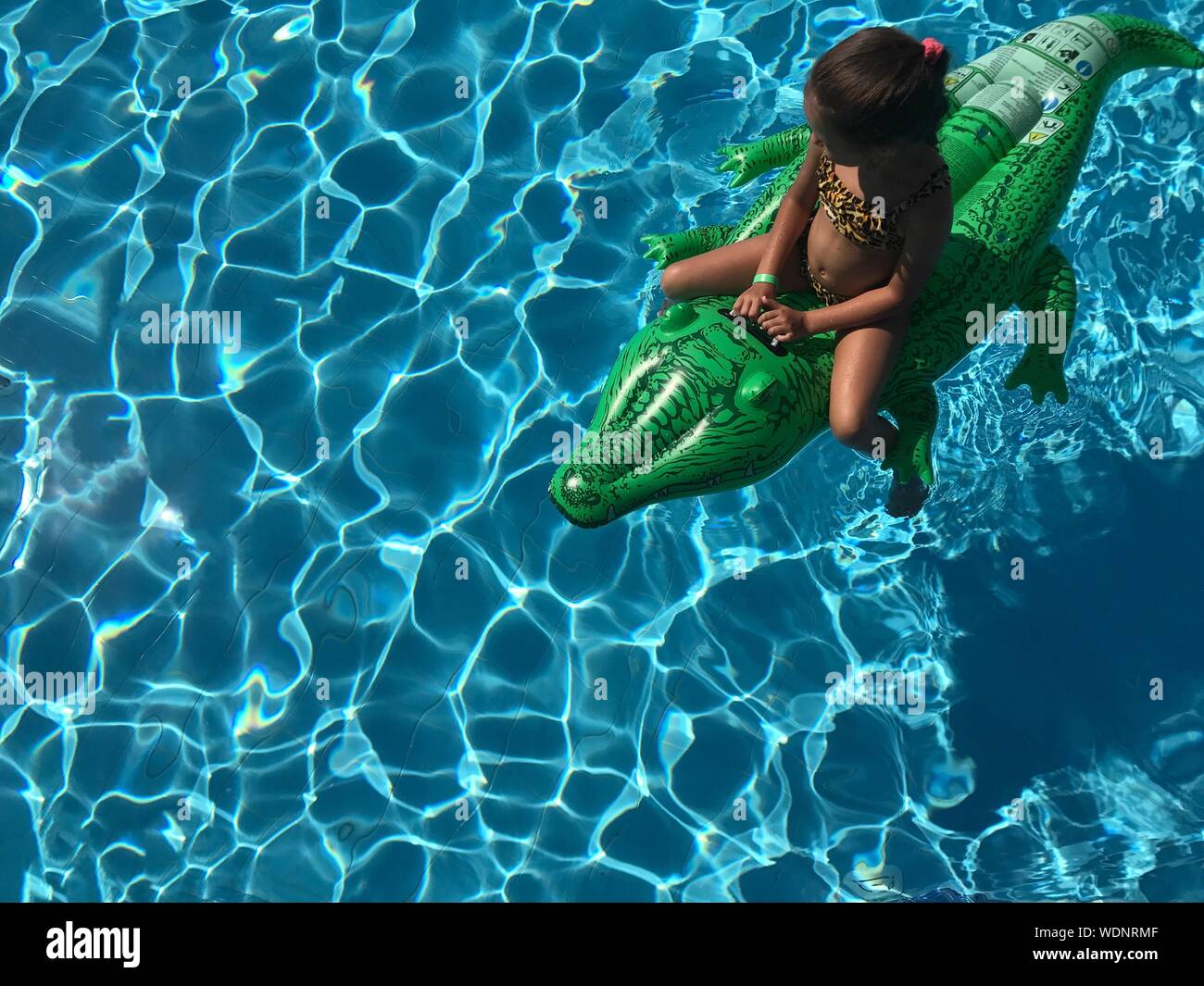 Swimming with inflatable crocodile hires stock photography and images