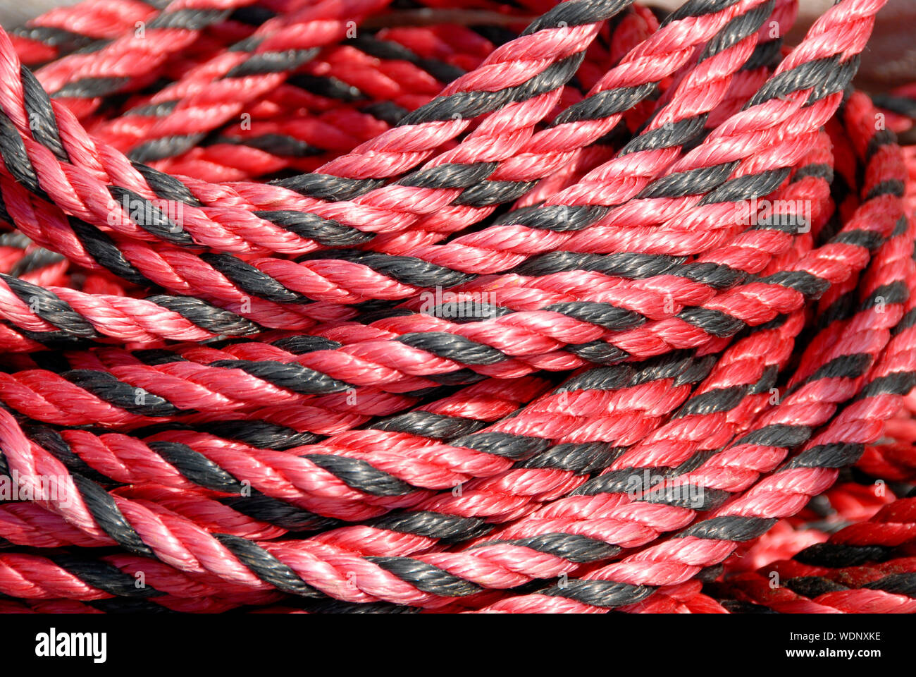 Coil of red and black colored rope, Brancaster Staithe, Norfolk, England Stock Photo