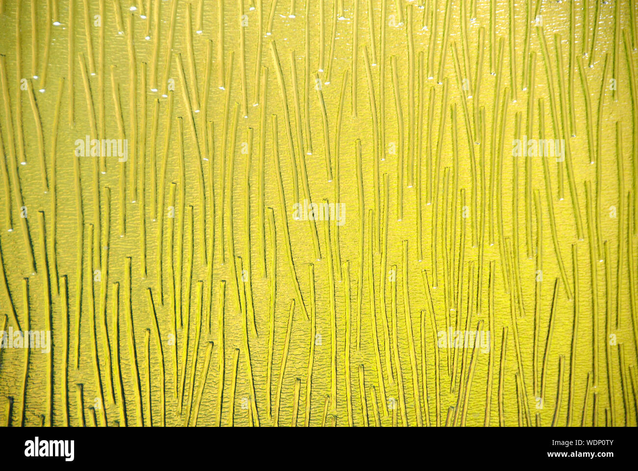Abstract of green background seen through Charcoal Sticks  patterned glass of the type used for bathroom windows to ensure privacy Stock Photo
