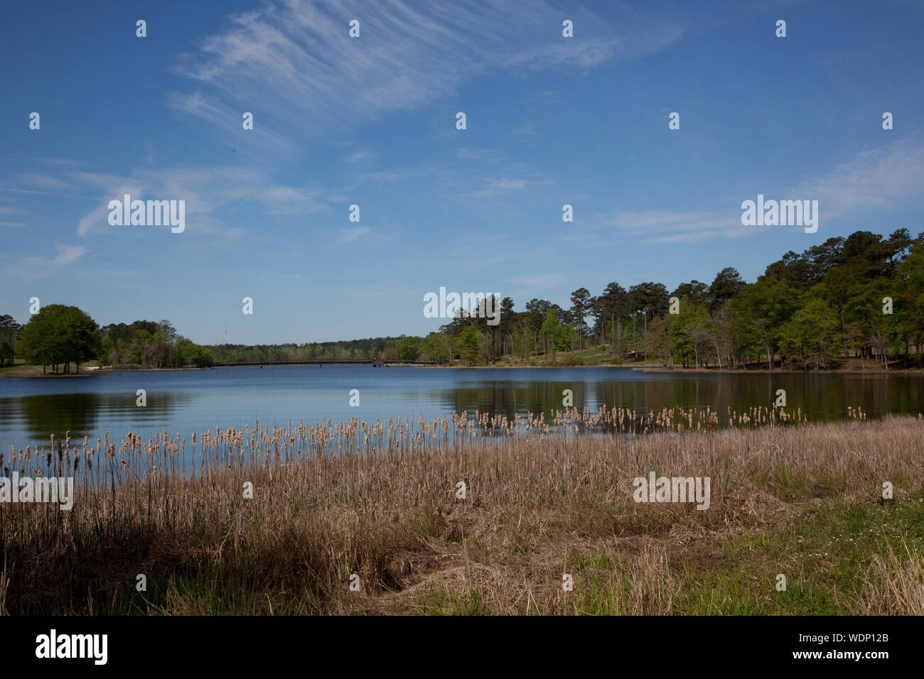 Grand National Golf Course, part of the Robert Trent Jones Trail ...