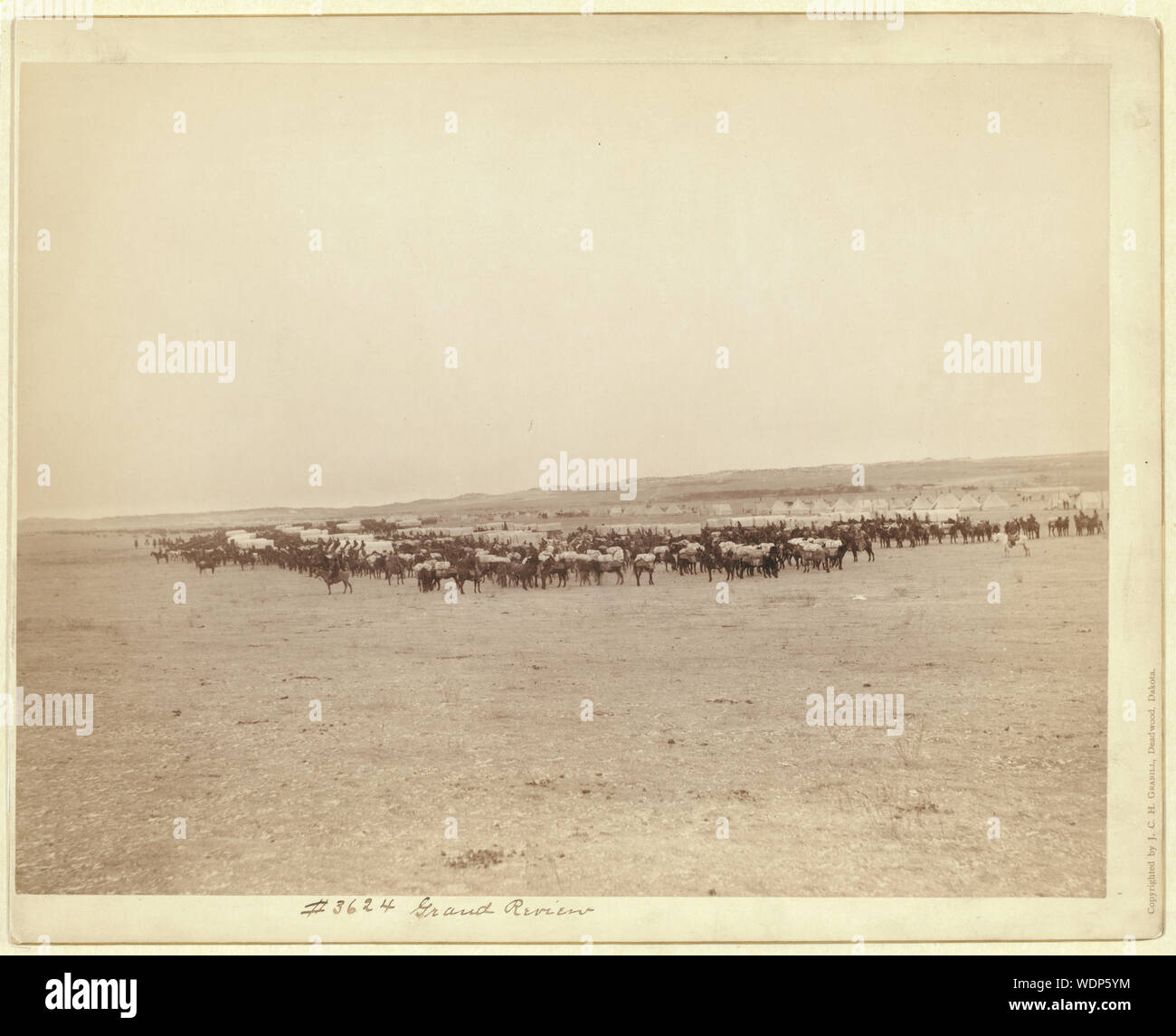 Grand review 1865 hi-res stock photography and images - Alamy