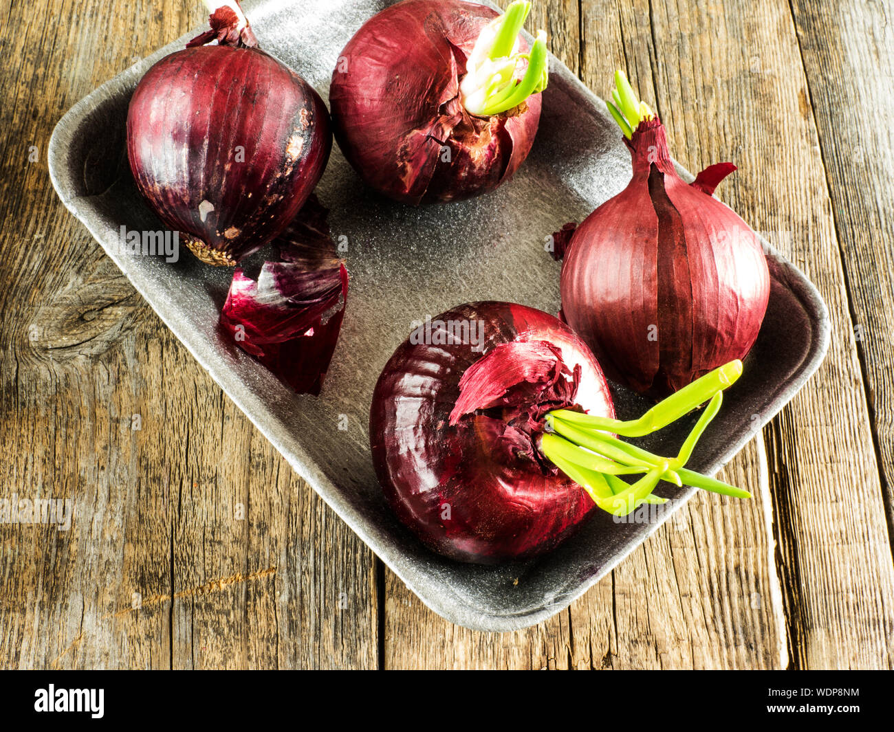Close-up Of Sprouted Onion In Bowl On Wooden Table Stock Photo