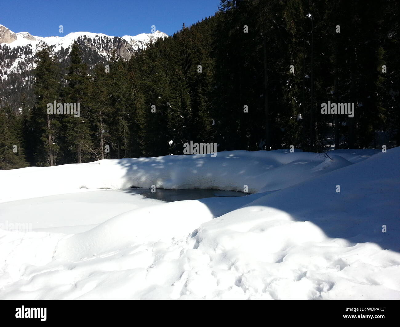 Frozen lake forest hi-res stock photography and images - Alamy
