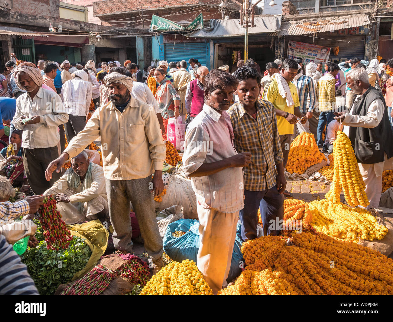 Bansphatak Flower Market in Varanasi, Uttar Pradesh, India, Asia Stock