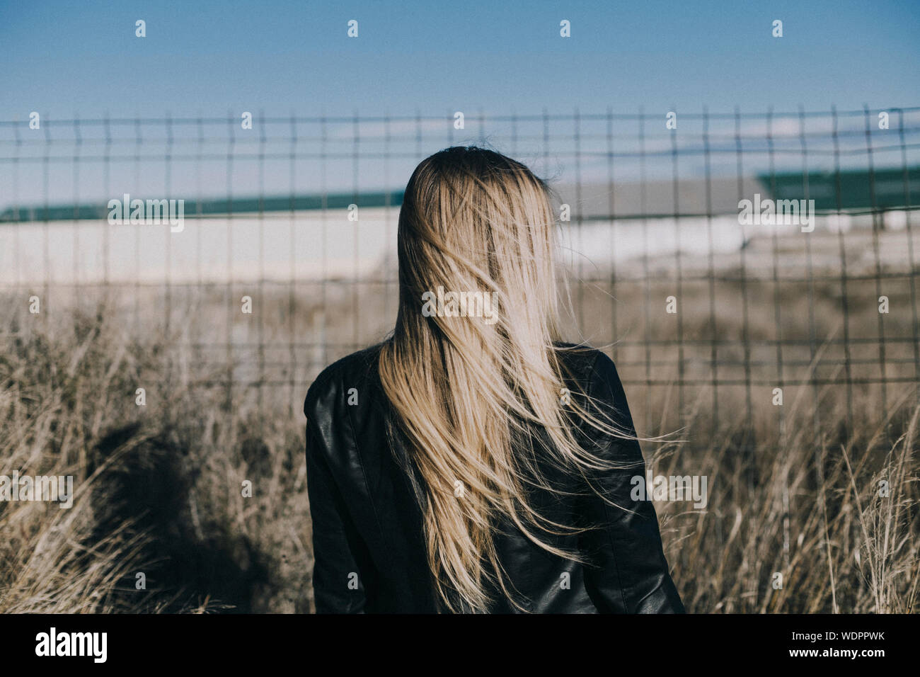 Woman long hair rear view hi-res stock photography and images - Alamy
