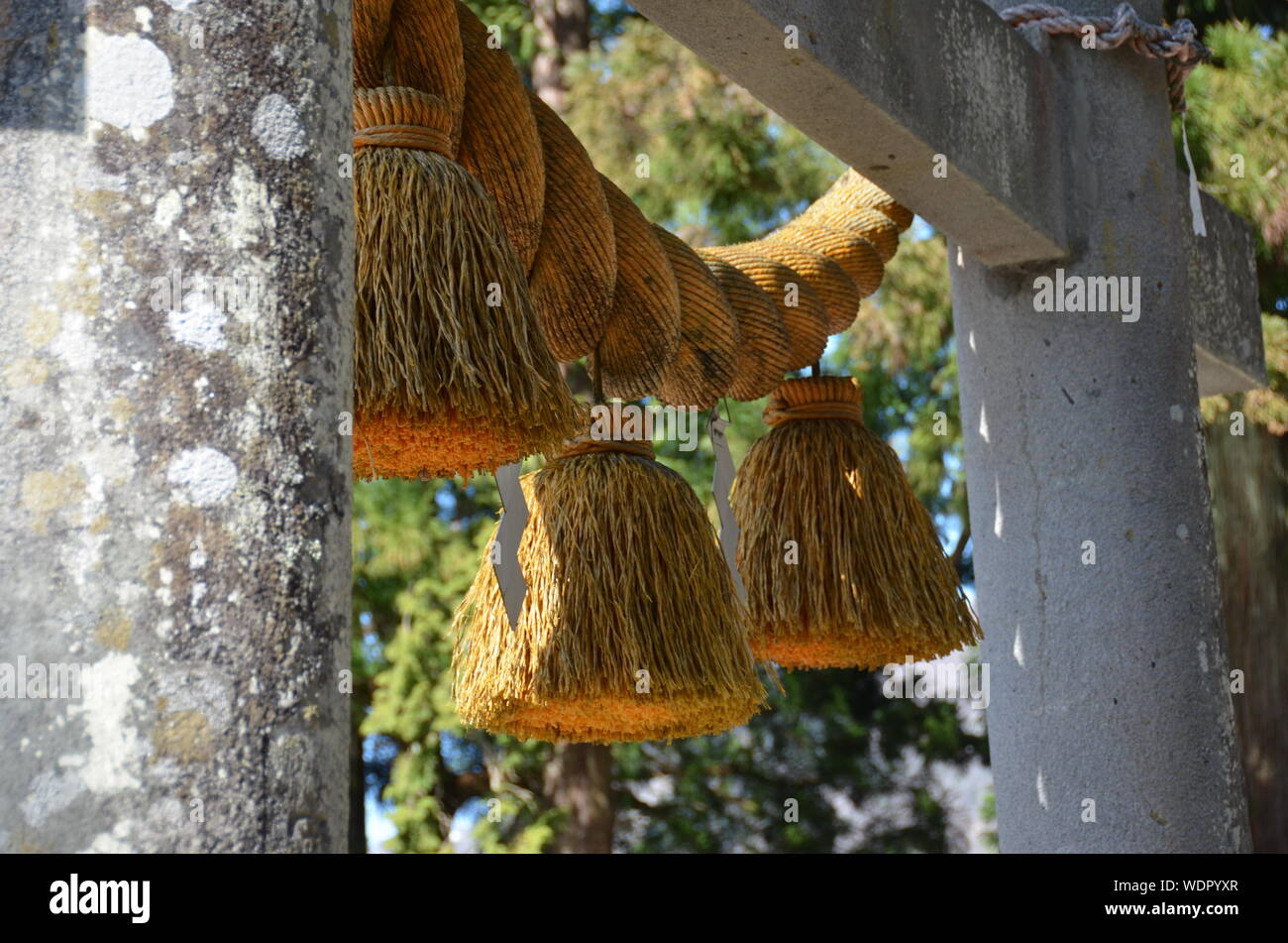 Twisted concrete hi-res stock photography and images - Alamy