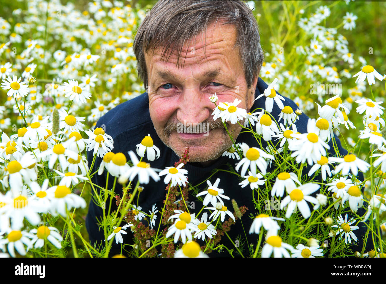 Portrait Of Senior Man Amidst Flowering Plants Stock Photo