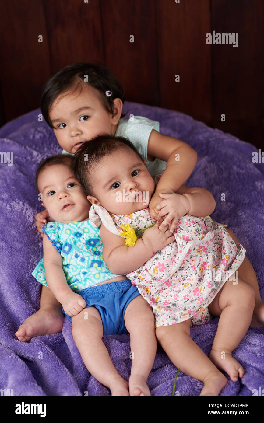 Group of small funny babies watching in camera Stock Photo