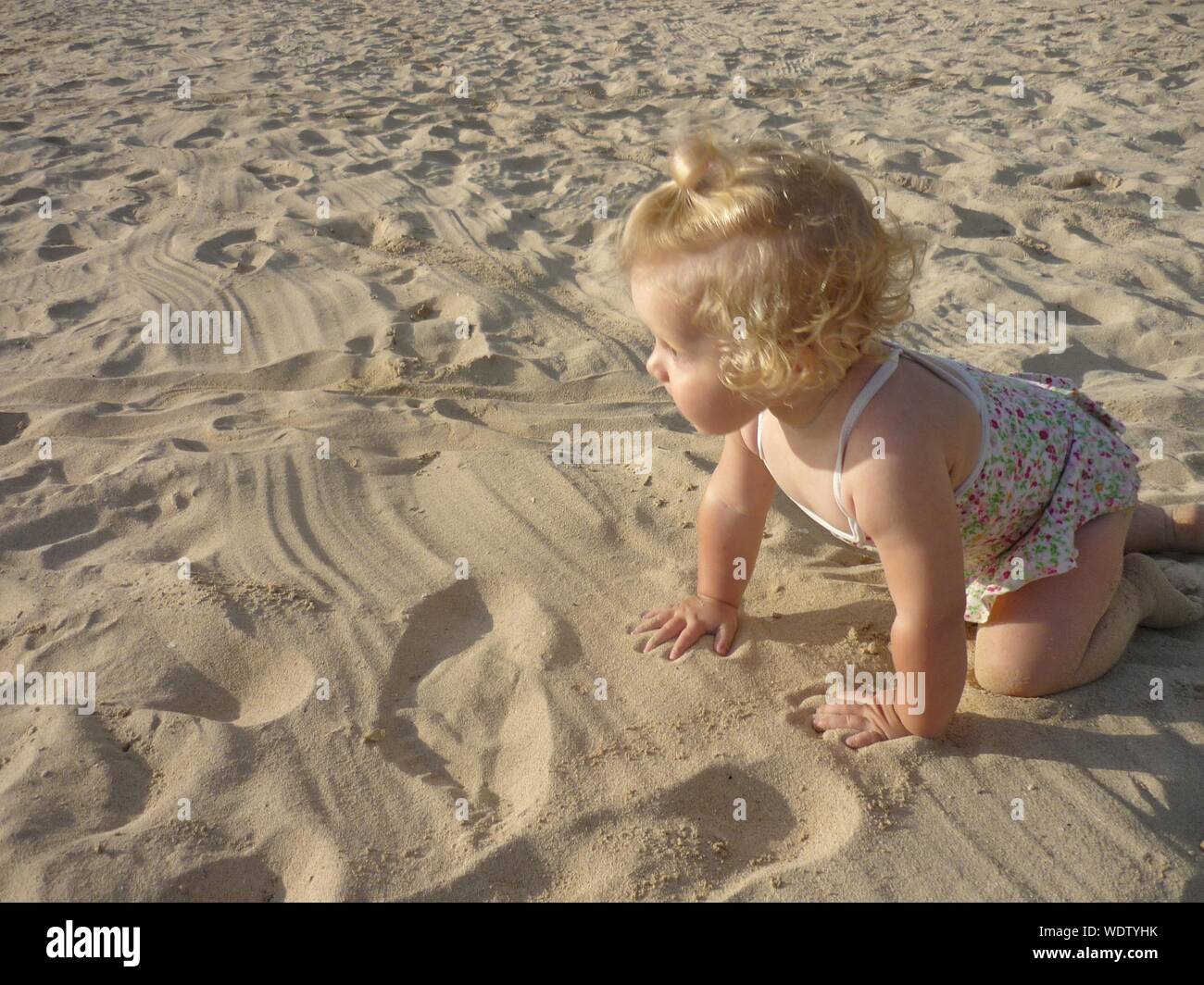 Crawling beach hi-res stock photography and images - Alamy
