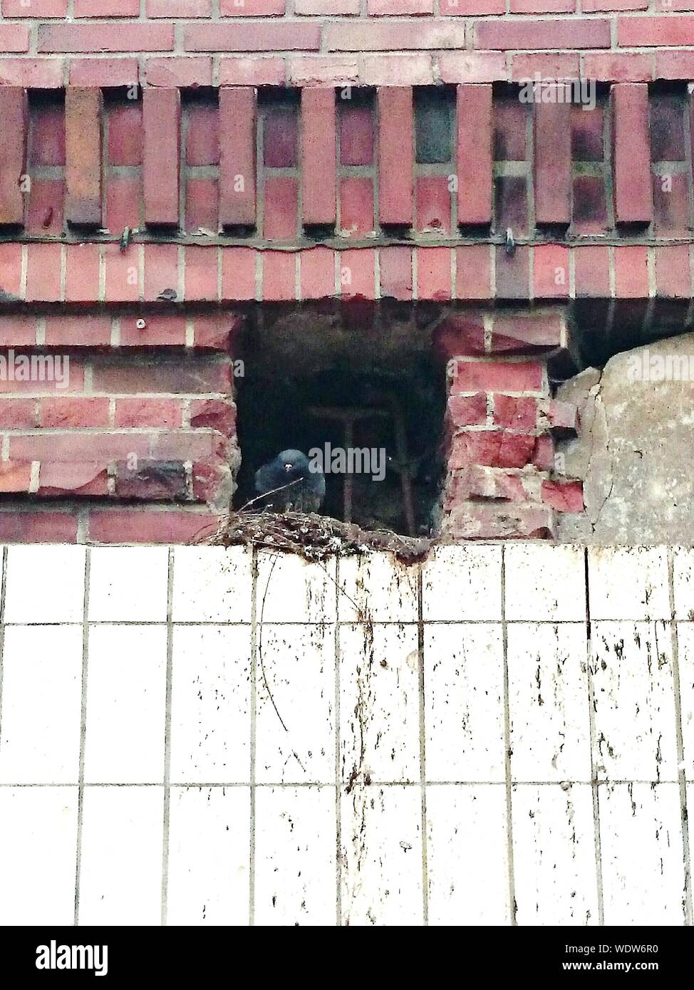 Pigeon Hole High Resolution Stock Photography and Images Alamy