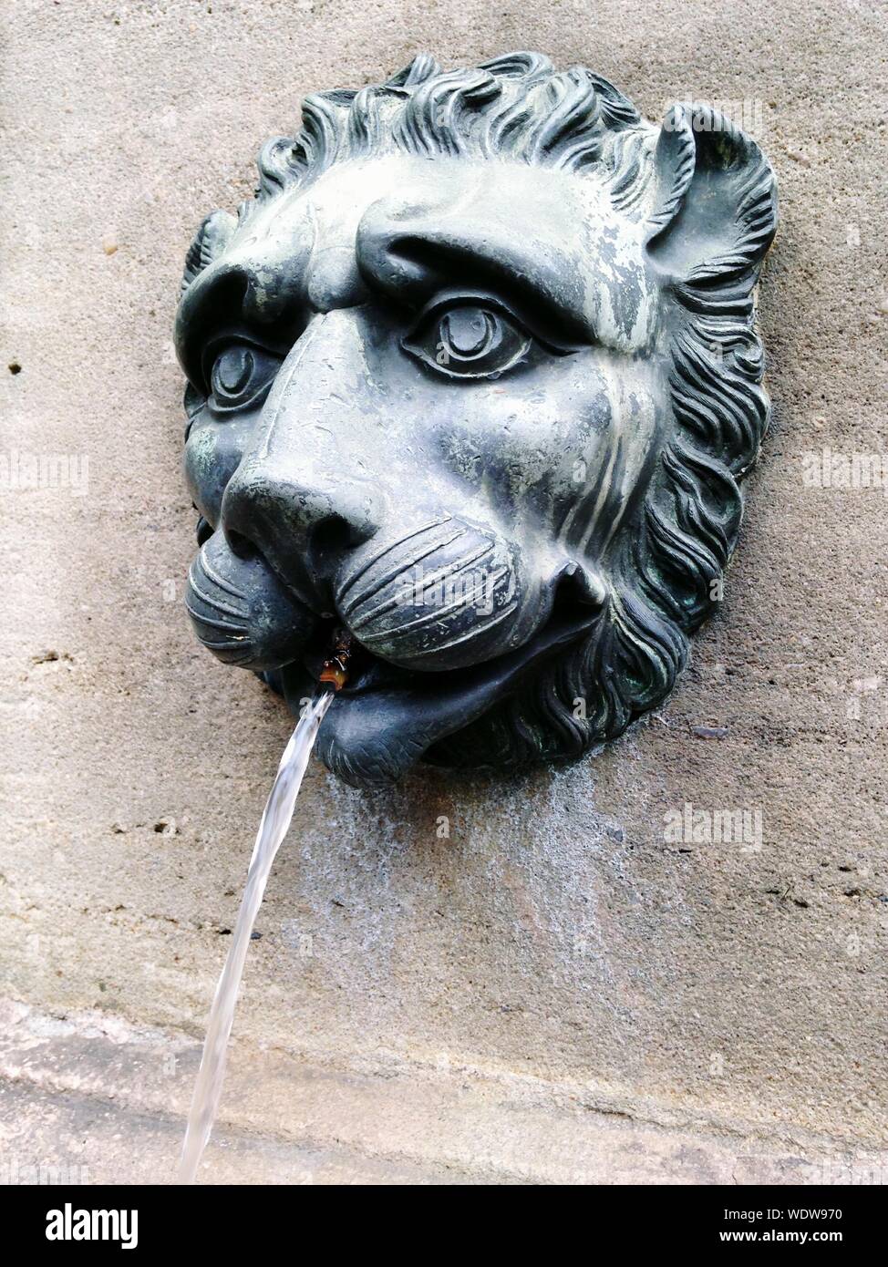 Wall fountain lion hi-res stock photography and images - Alamy