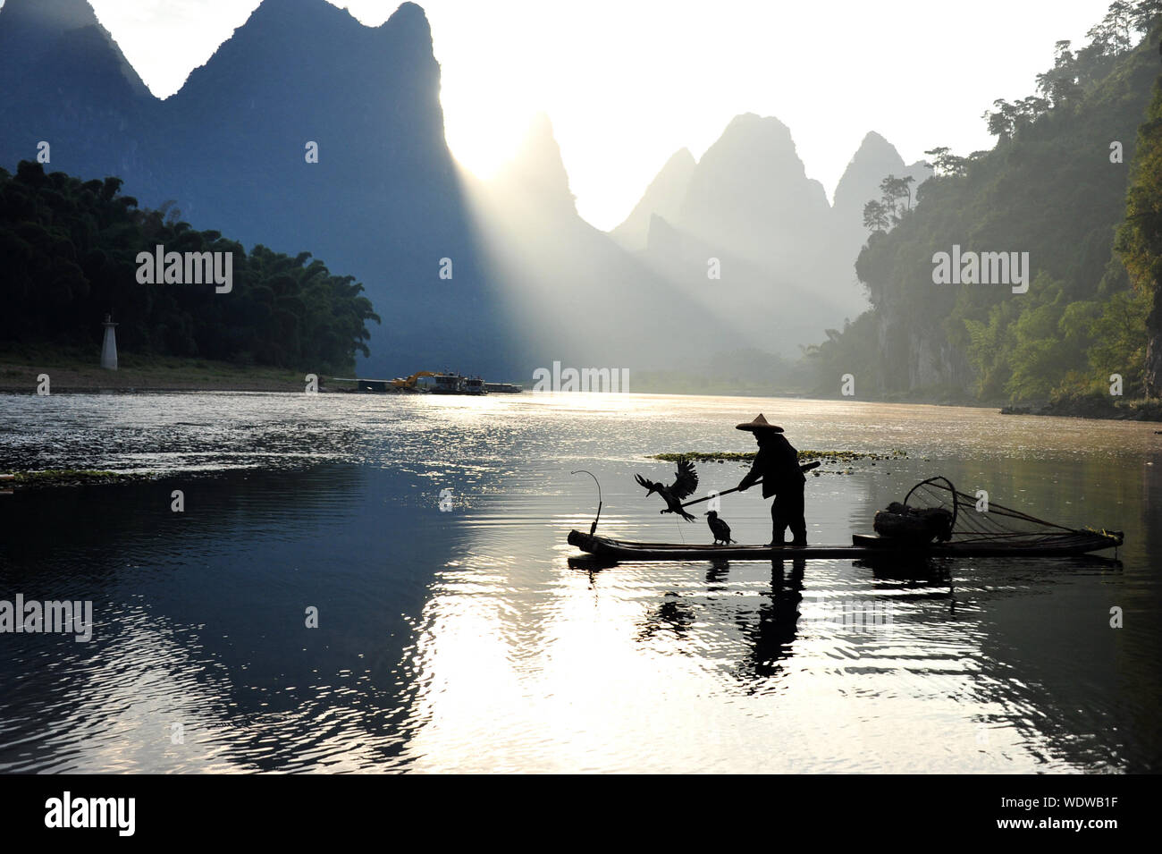 Raft for birds hi-res stock photography and images - Alamy
