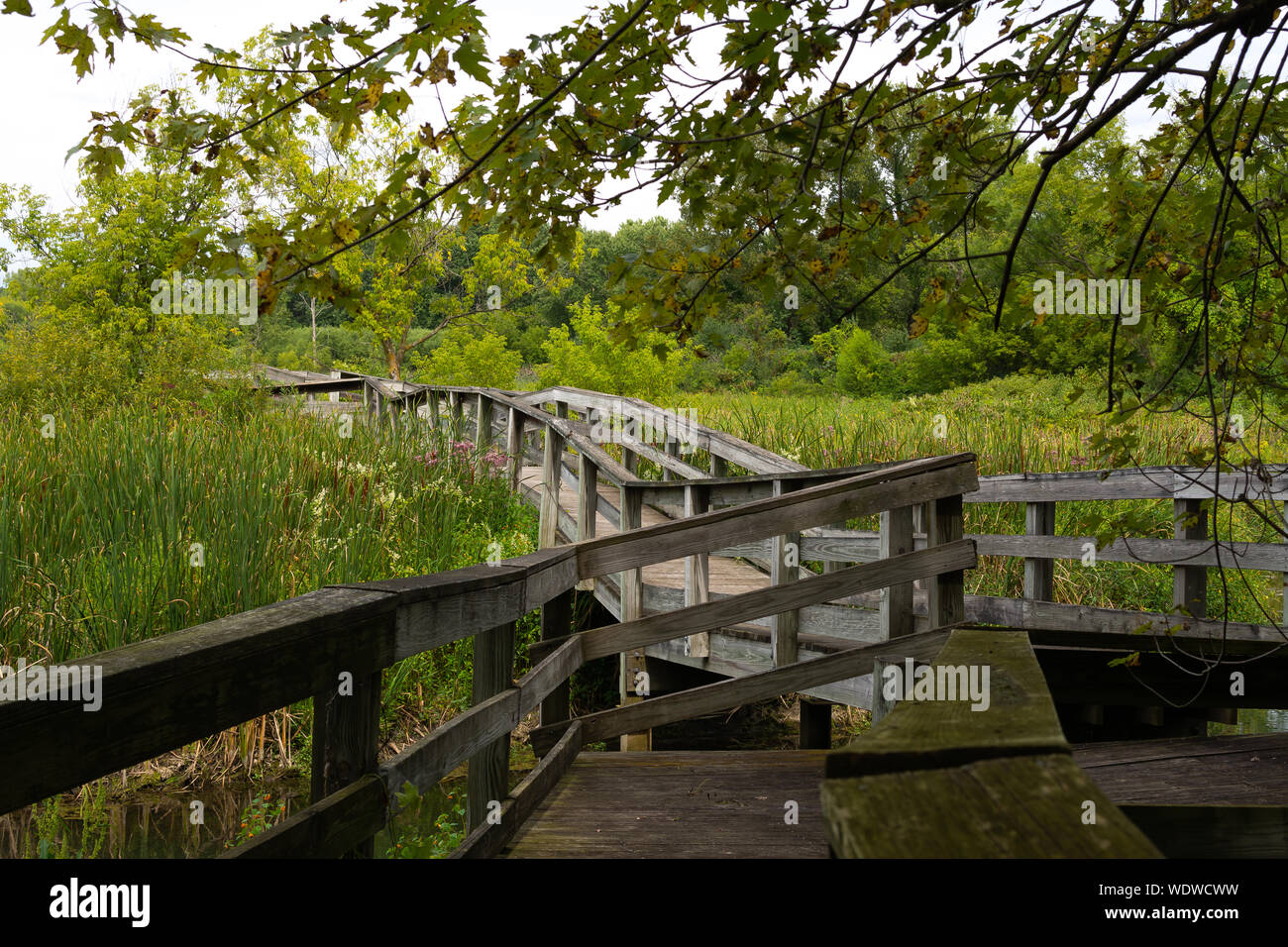 Wooden walkway on a cloudy Summer afternoon. Rock Cut State Park