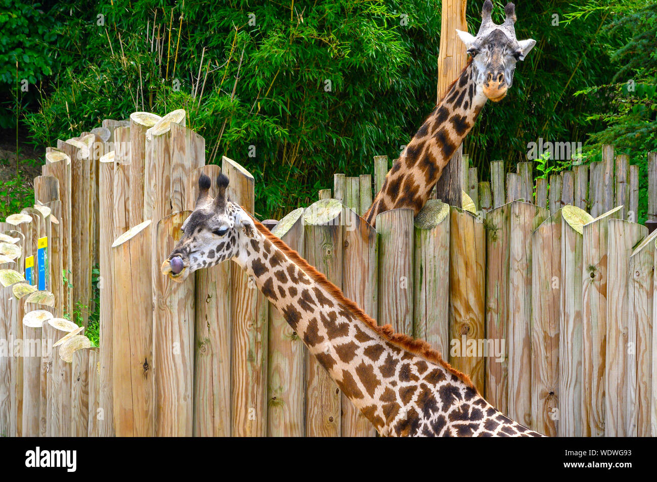 Mother and Child Reunion Stock Photo - Alamy