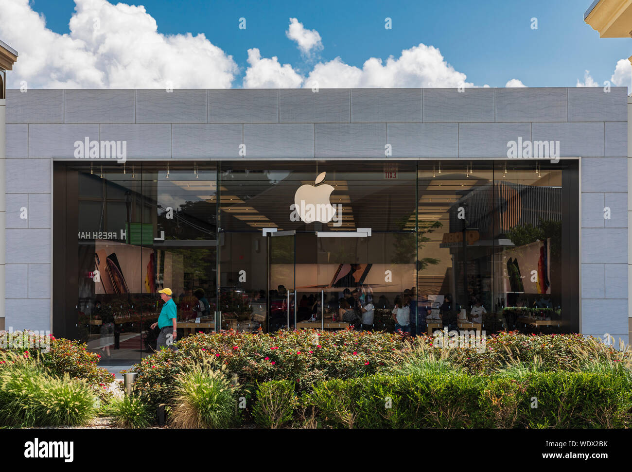 New Haven - Apple Store - Apple