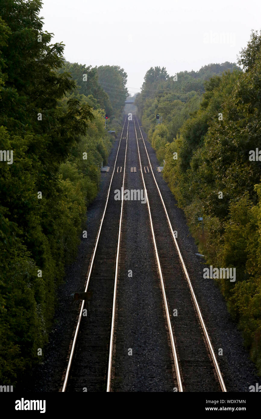 Endless Train Tracks, Ontario Canada Stock Photo Alamy