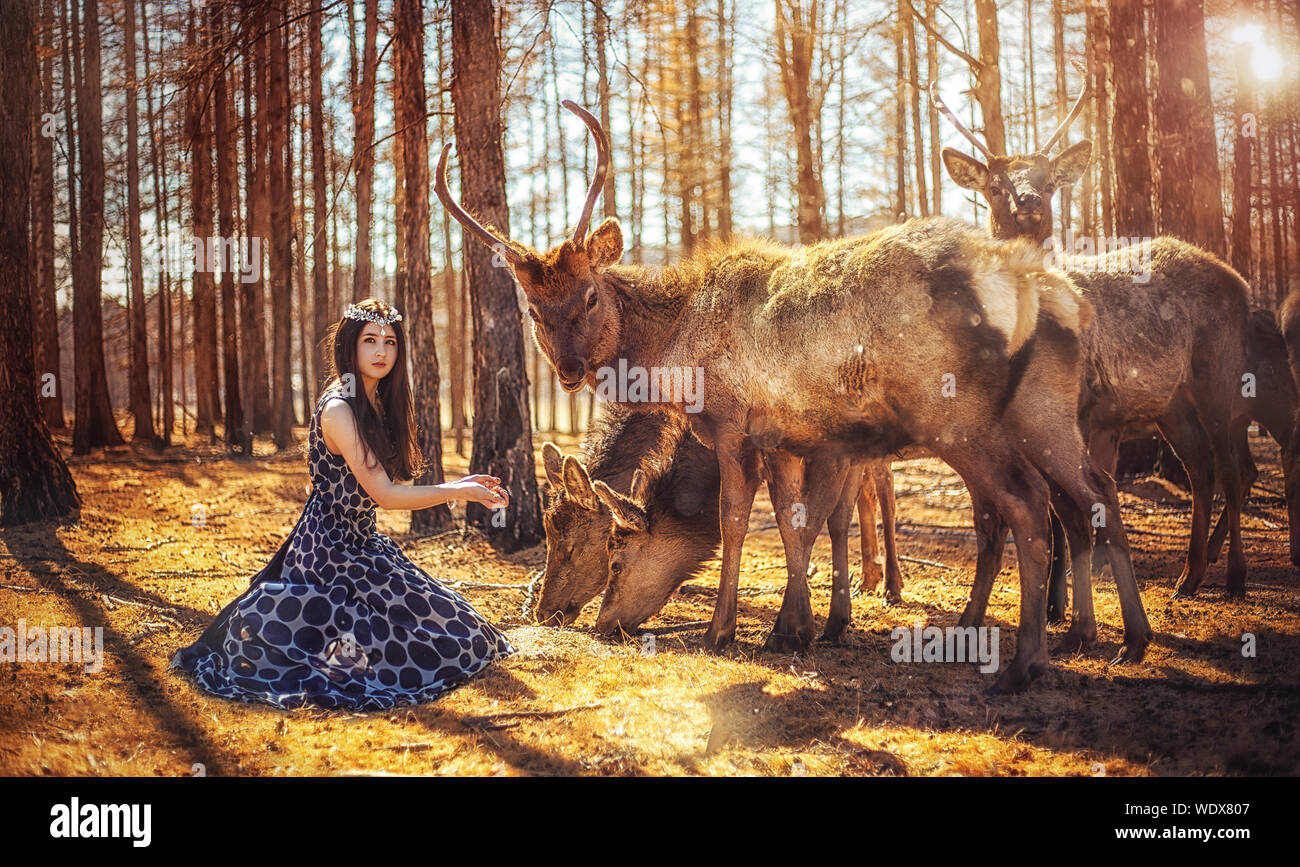 Portrait Of Young Woman Feeding Animals In Forest Stock Photo - Alamy Portrait Of Young Woman Feeding Animals In Forest Stock Photo - Alamy
