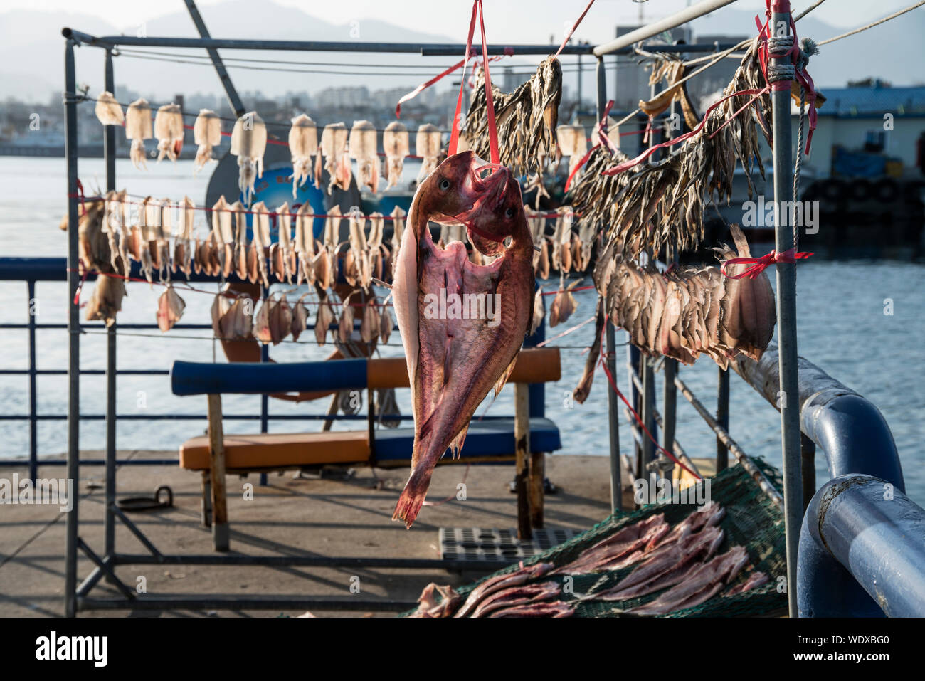 Fish drying rack hires stock photography and images Alamy