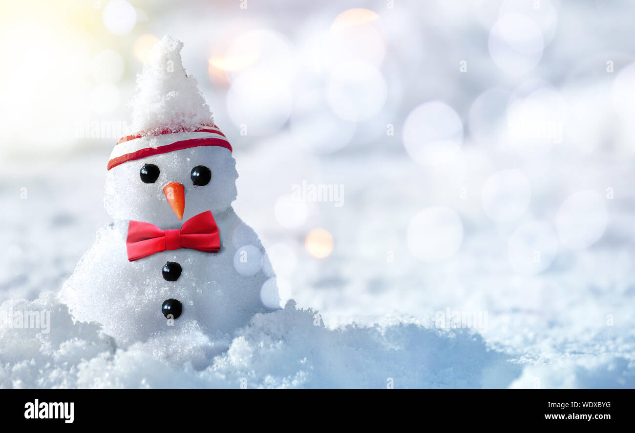 https://c8.alamy.com/comp/WDXBYG/cute-frost-ice-snowman-in-winter-snow-background-christmas-theme-with-copy-space-WDXBYG.jpg