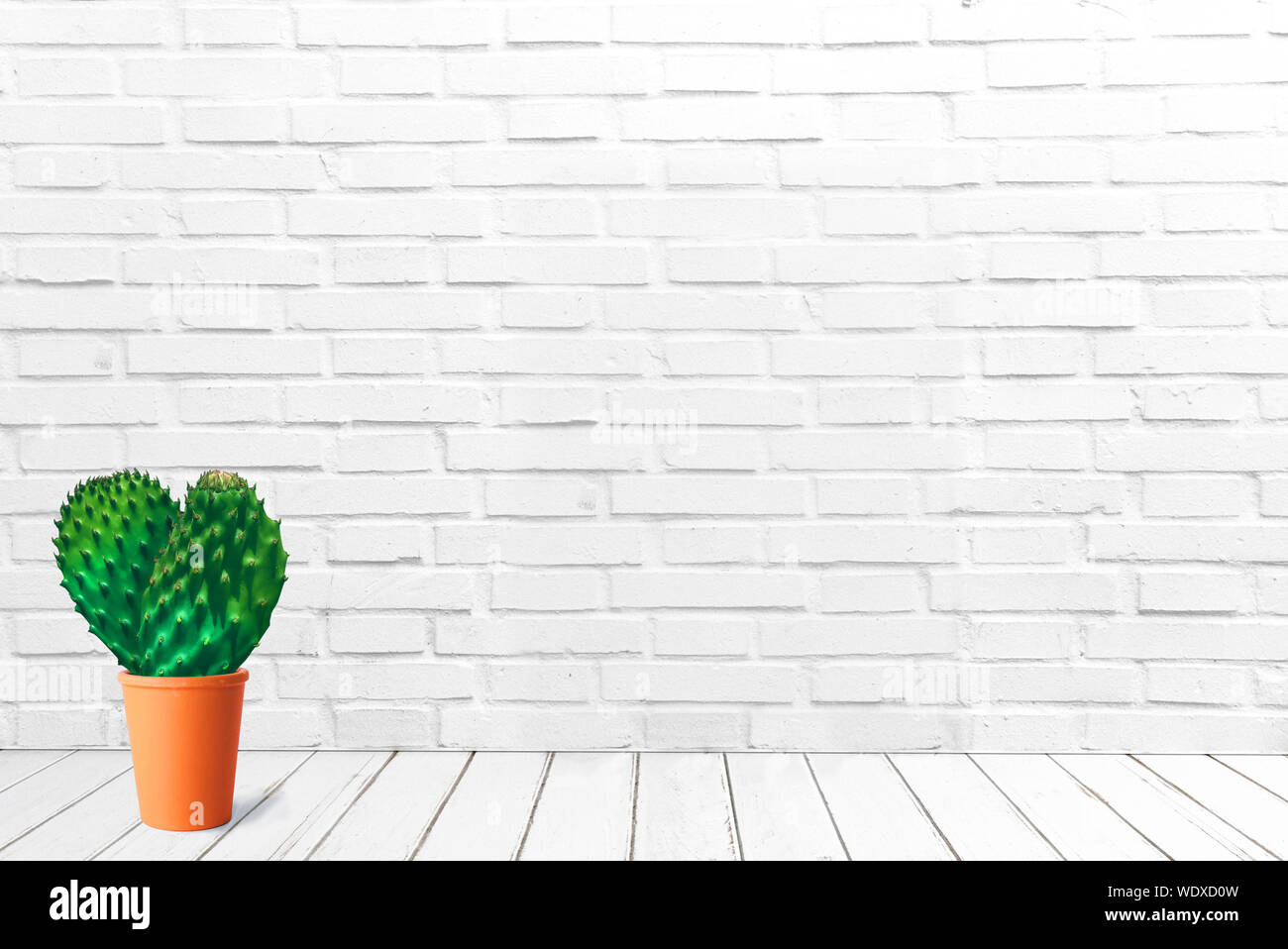 Heart shape prickly pear cactus in a pot on a white brick wall background with copy space. Stock Photo