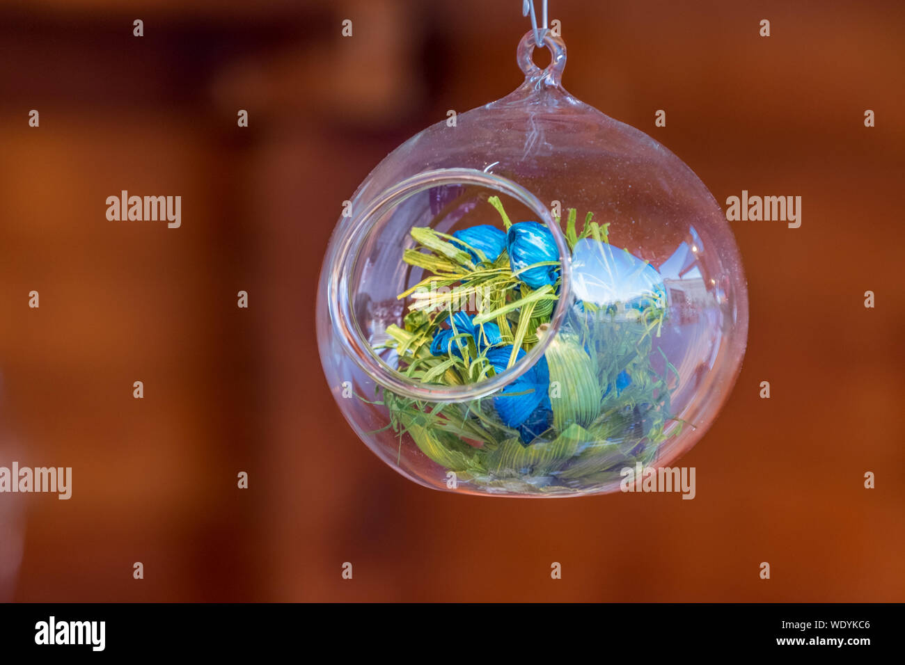 Hanging blue flowers hi-res stock photography and images - Alamy