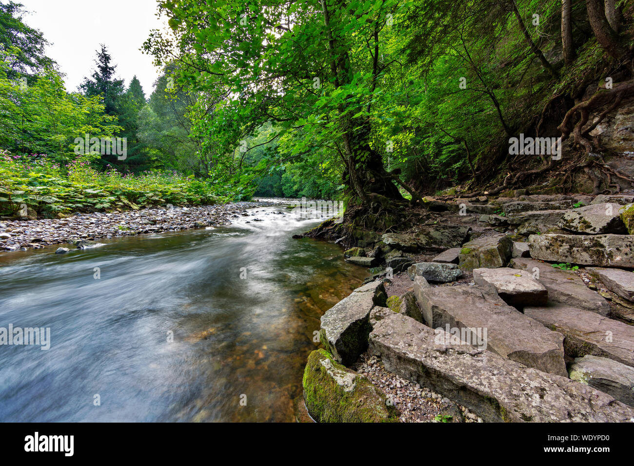 Wutach Gorge Black Forest Badenwrttemberg Germany 269 Wutach River