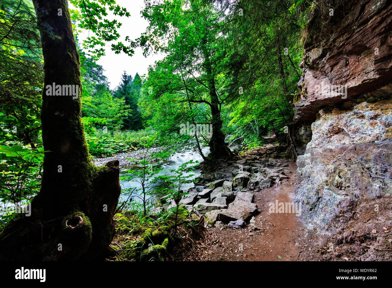 River Wutach in the Wutach Gorge, Black Forest, Baden-Württemberg ...