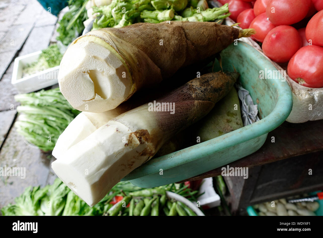 Chinese bamboo shoots hires stock photography and images Alamy