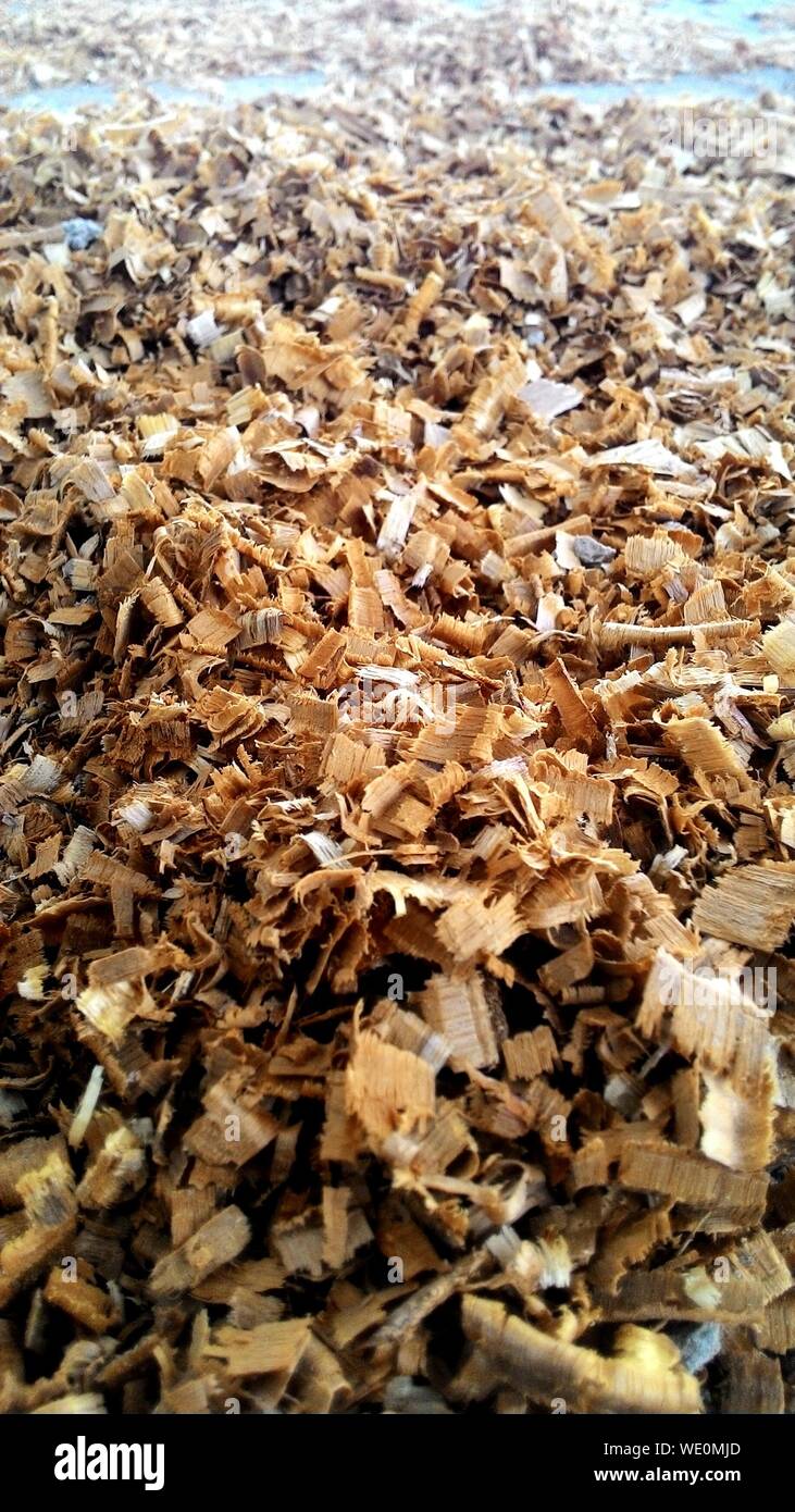 Pile Of Wood Chips Stock Photo Alamy