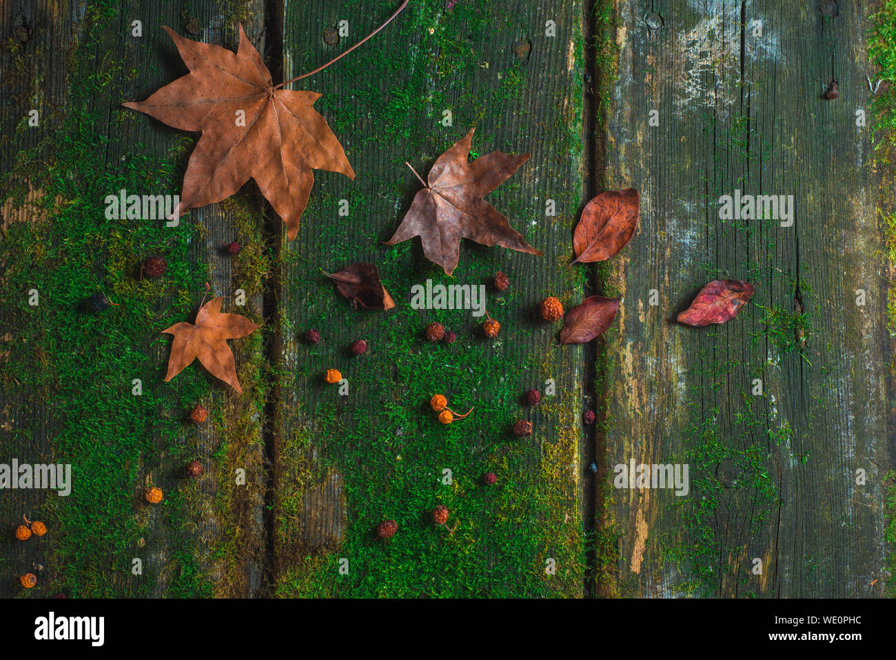 Old wooden table with moss and scattered fallen leaves. Autumn texture with copy space Stock Photo