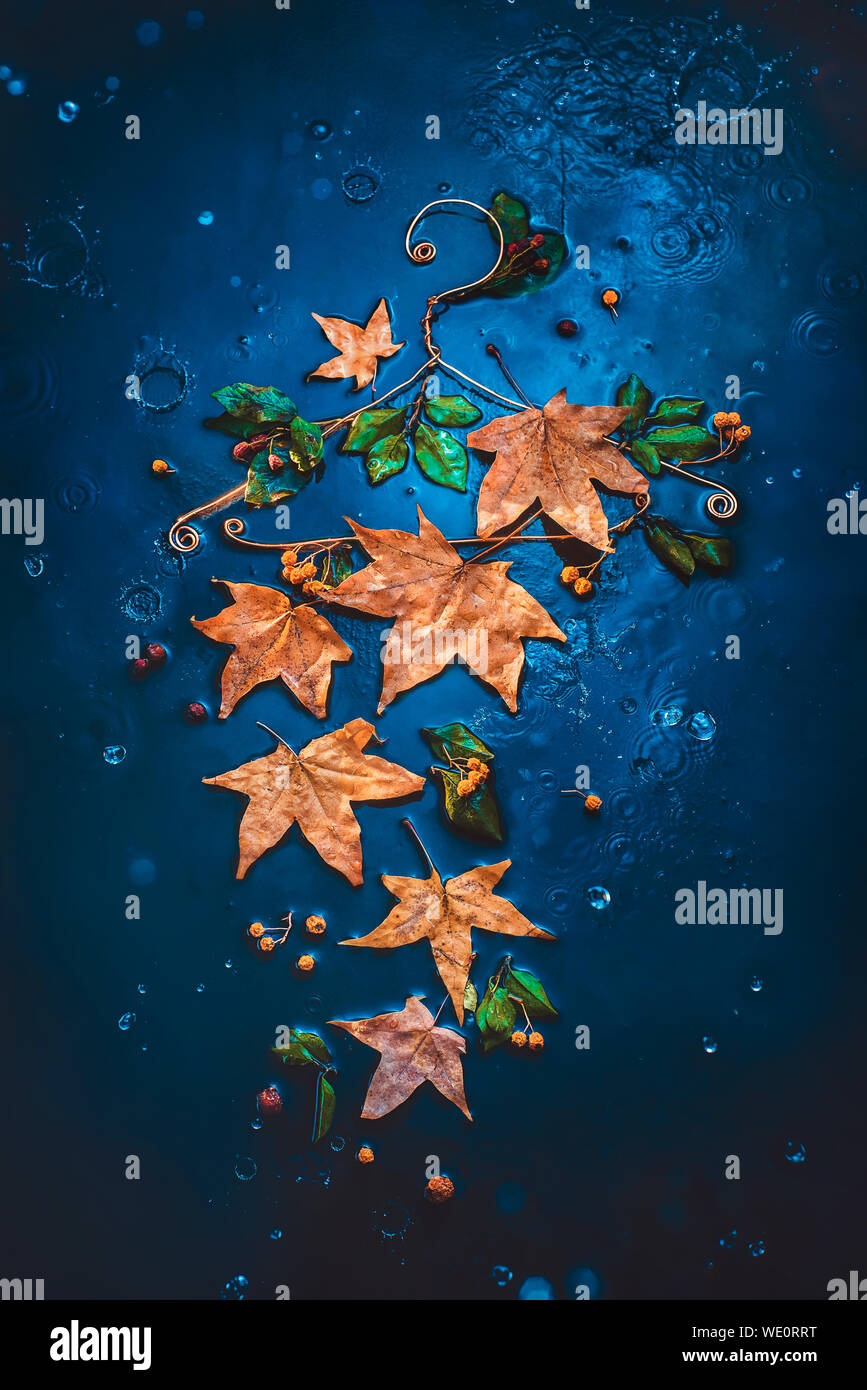 Autumn dress made be fallen leaves and raindrops on a wire hanger. Creative autumn flat lay with copy space Stock Photo