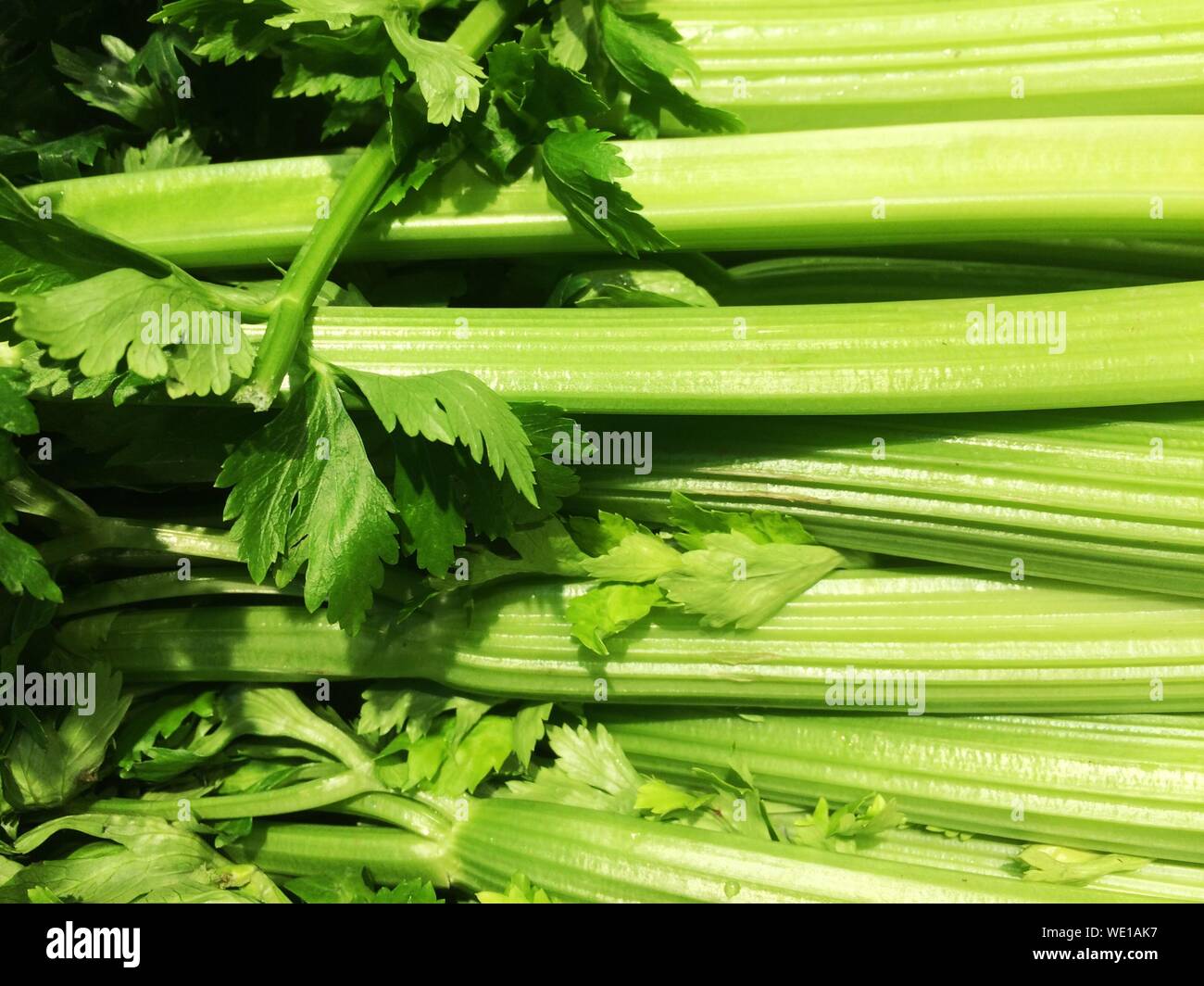 Close-up Of Fresh Green Leafy Vegetable At Market Stall Stock Photo