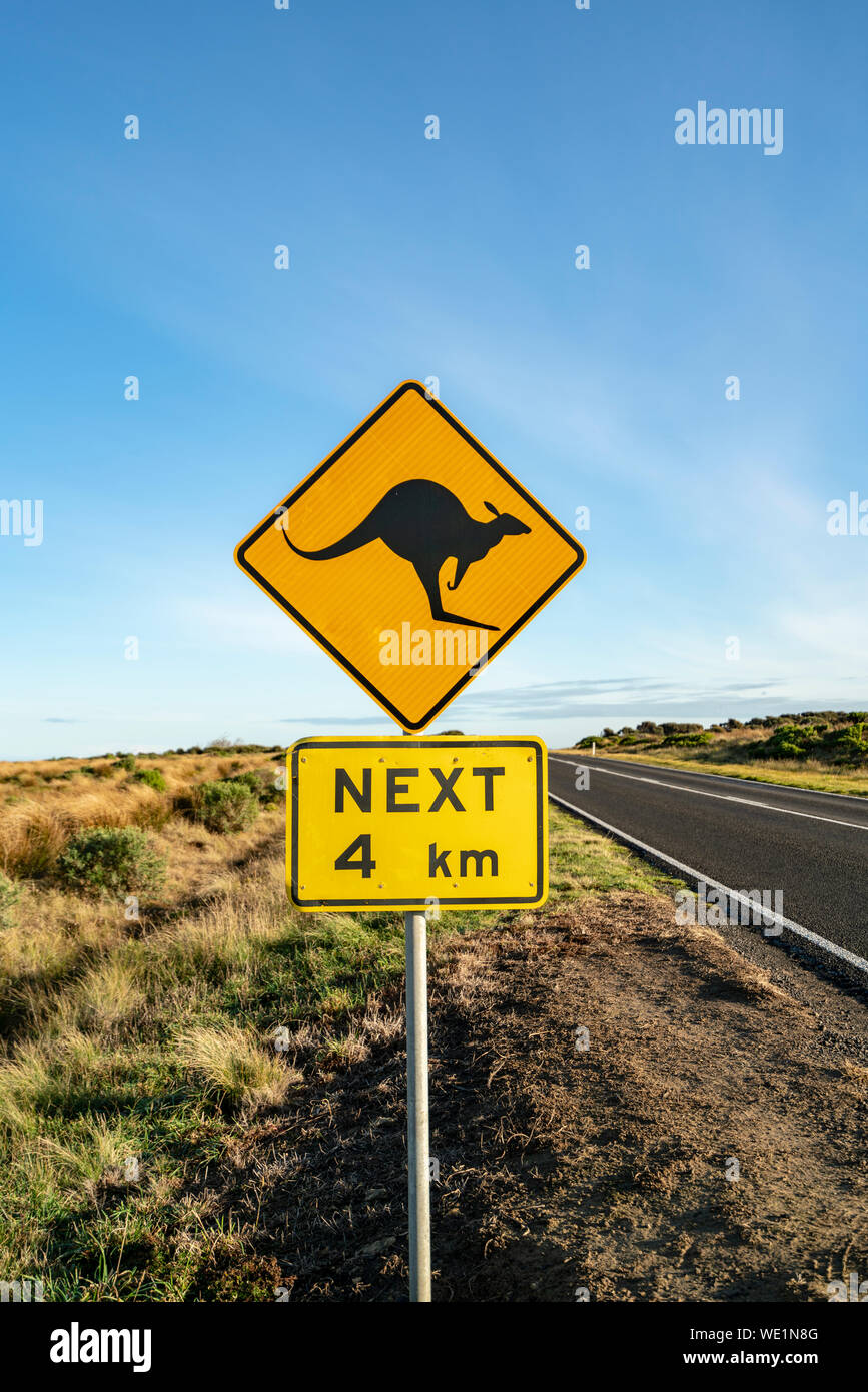 An iconic kangaroo road sign against a blue sky on the Great Ocean Road ...