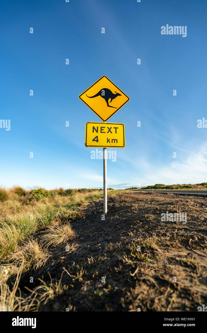 An iconic kangaroo road sign against a blue sky on the Great Ocean Road ...