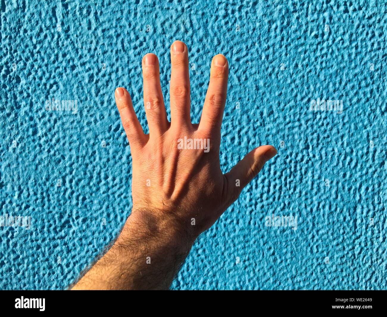 Hand Reaching Towards Sunlight High Resolution Stock Photography and ...