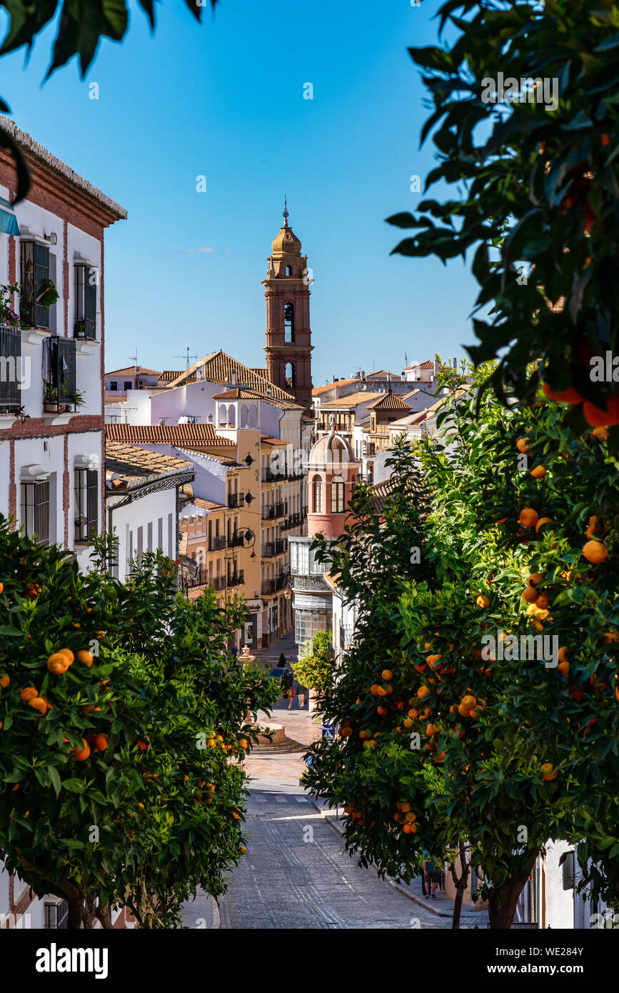 San Sebastian church tower in Antequera, Malaga Province, Andalusia, Spain Stock Photo