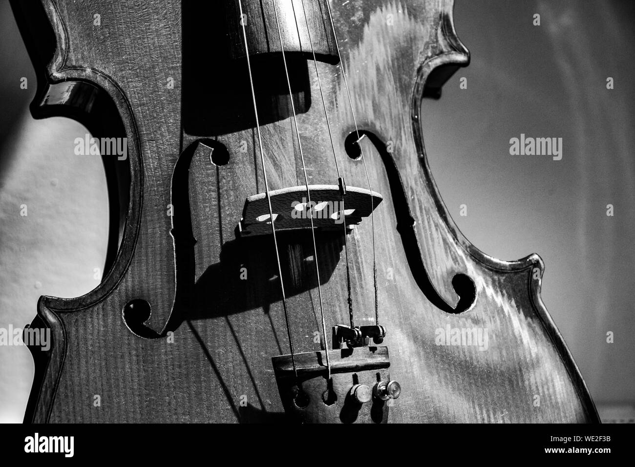 Cello Black and White Stock Photos & Images Alamy