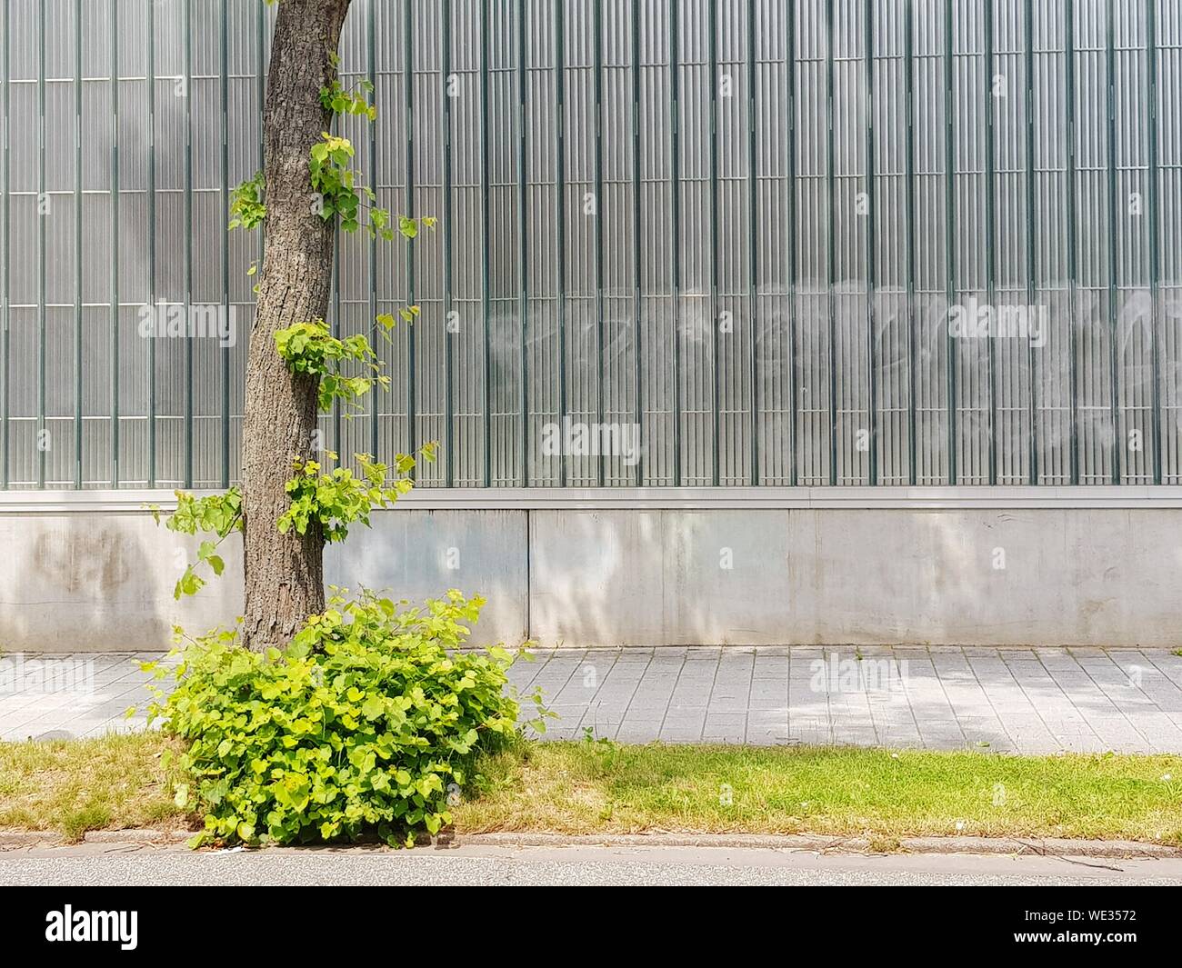Modern footpath hi-res stock photography and images - Alamy