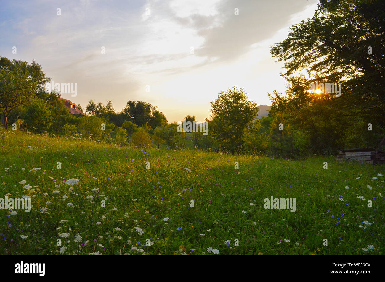 Countryside landscape at Samoborsko gorje in Croatia, morning sun shining through treetops on wildflower meadow Stock Photo