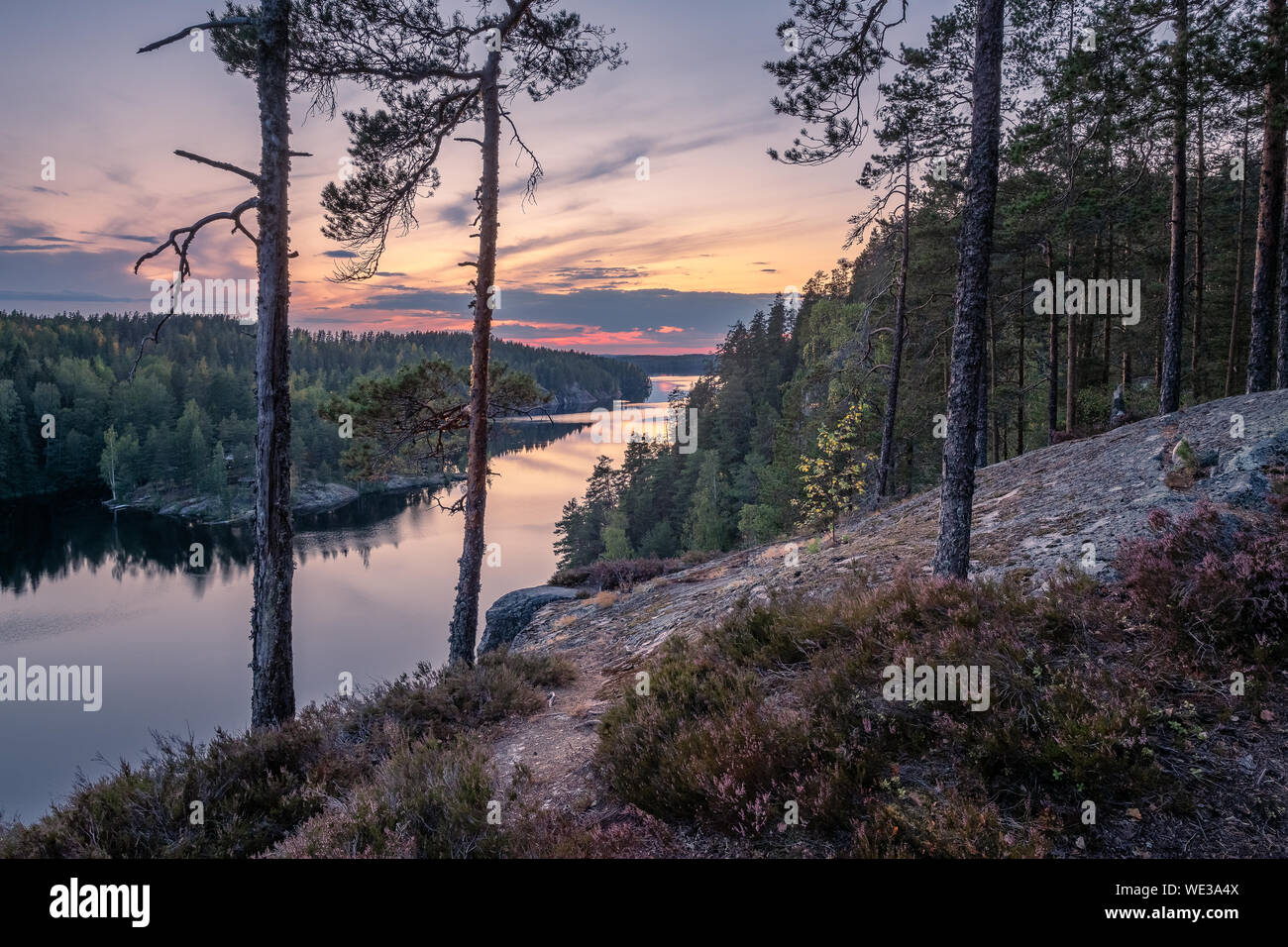 Scenic forest landscape with tarnquil mood and idyllic sunset at summer evening in Finland Stock Photo