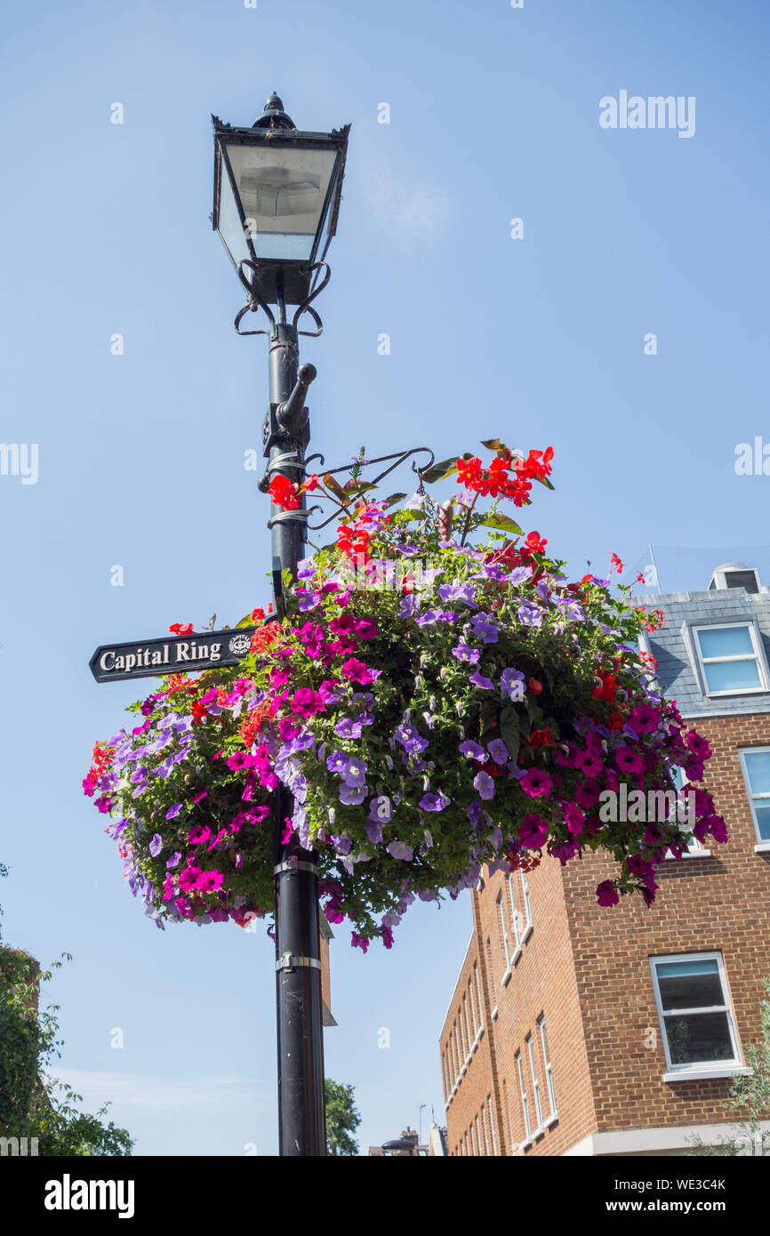 Capital Ring signage and hanging baskets on Richmond Green, Richmond, Surrey, England, UK Stock Photo