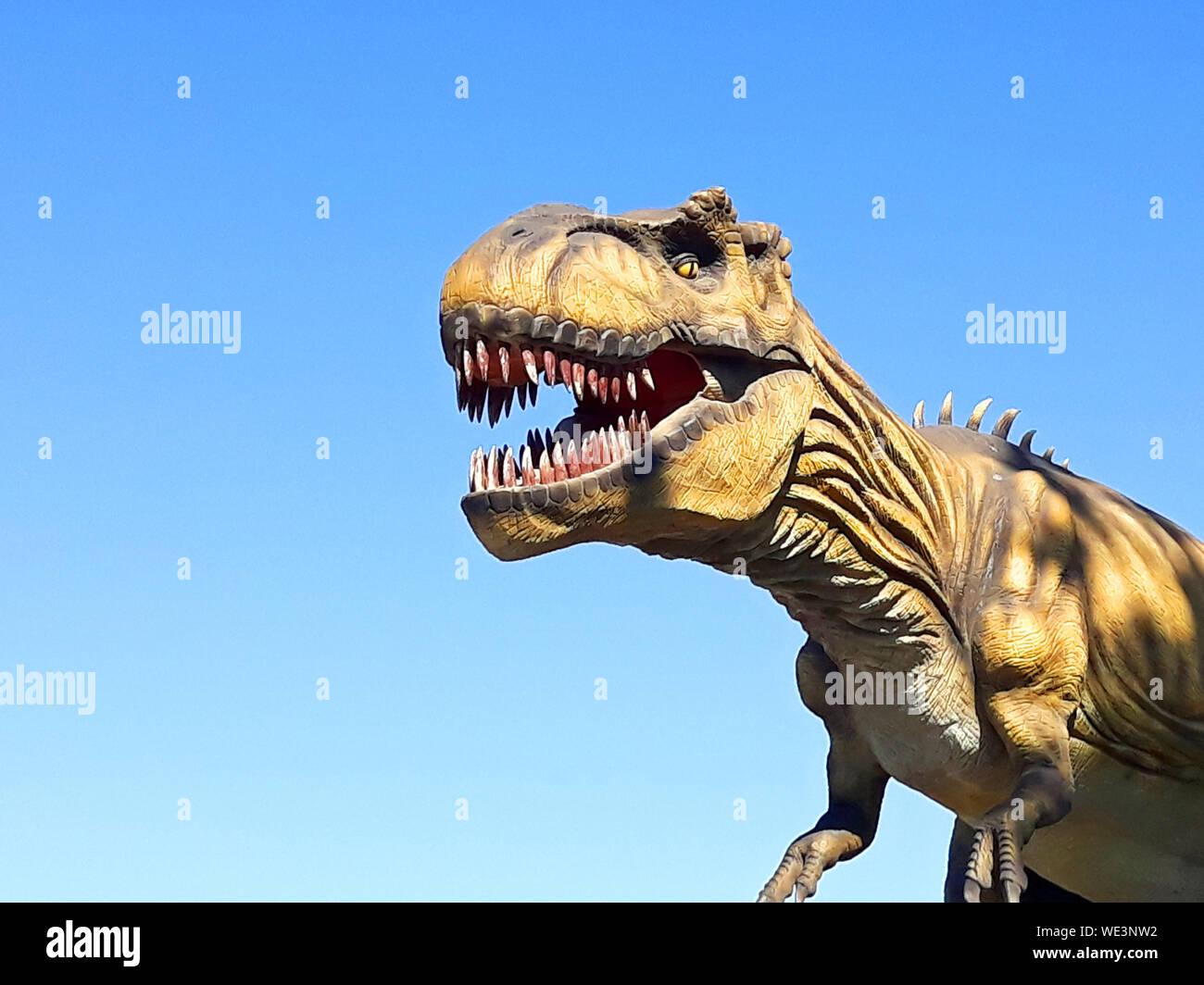 Jurassic park t rex hi-res stock photography and images - Alamy