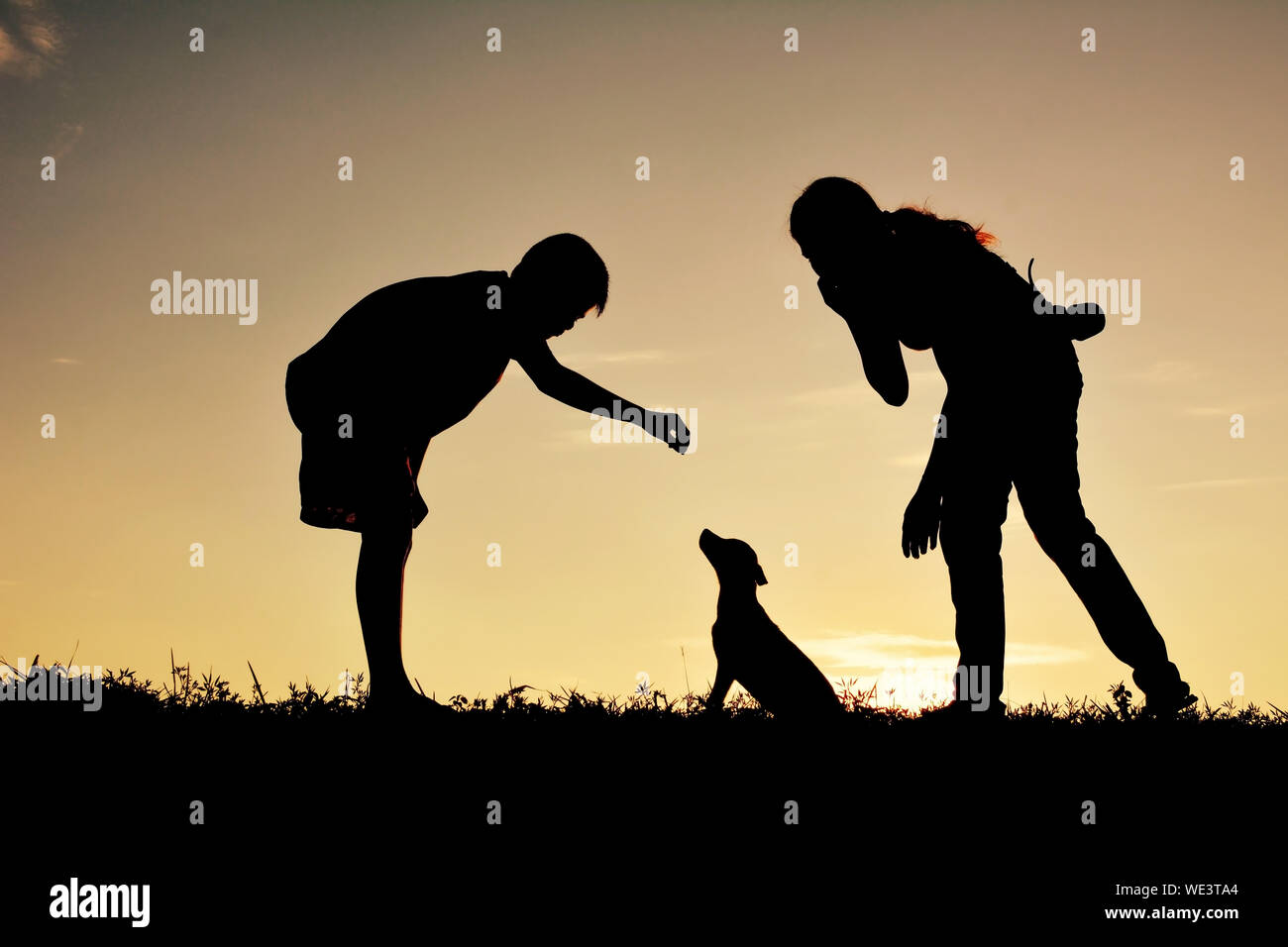 Silhouette Sibling Playing With Dog On Grassy Field Against Sky During Sunset Stock Photo