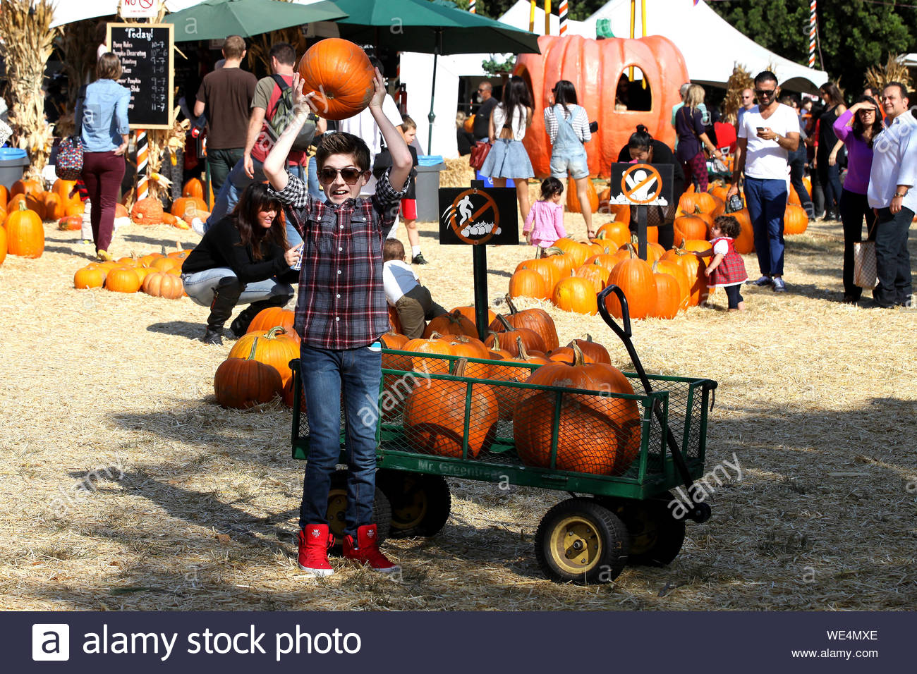 supra skytop pumpkin