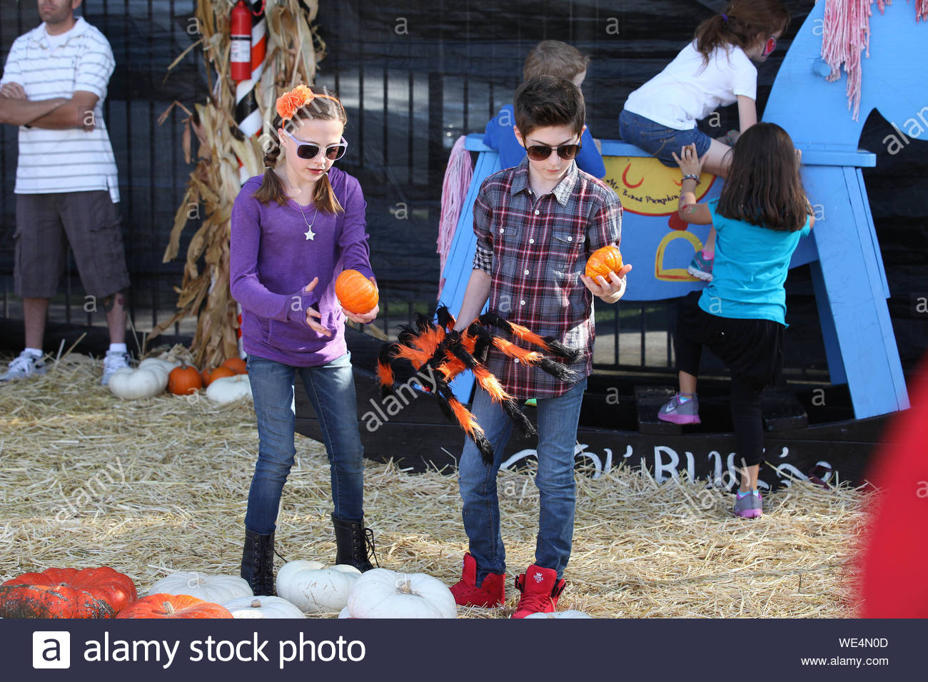supra skytop pumpkin