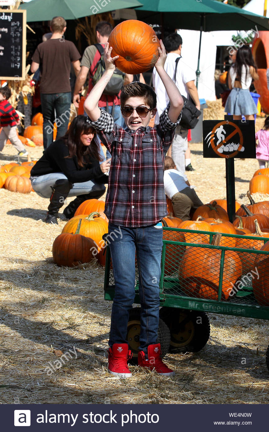 supra skytop pumpkin